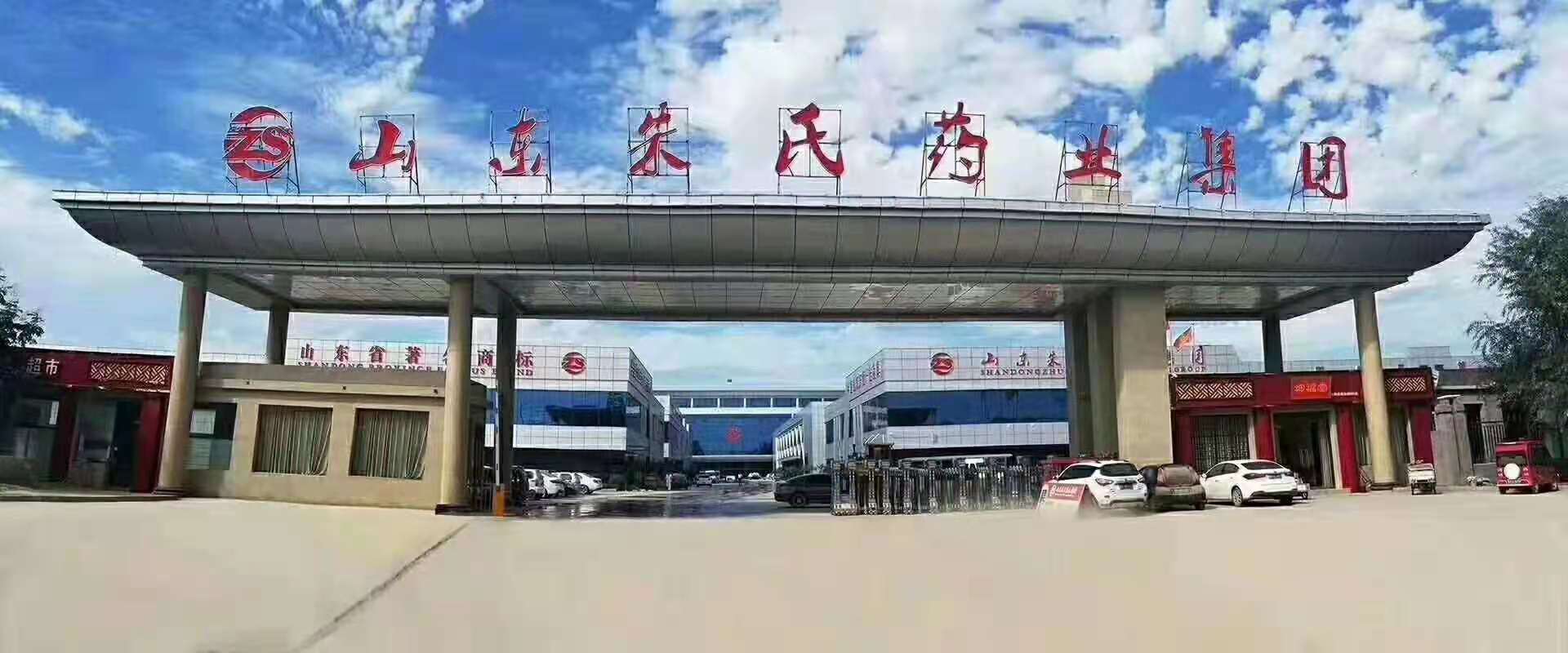 山东朱氏药业集团有限公司 标志
