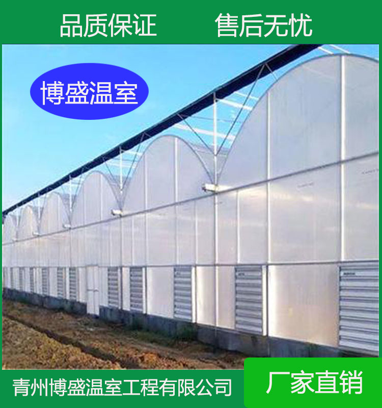 薄膜连栋温室 农业塑料大棚 花卉养殖大棚  博盛温室