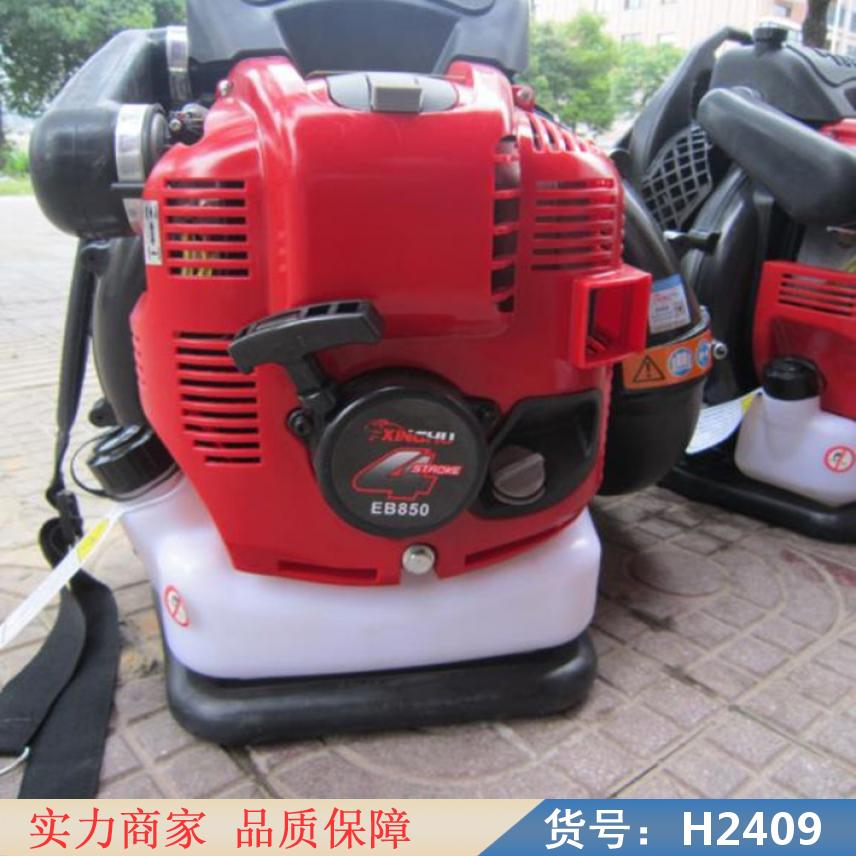 慧采eb850吹风机 公路风力灭火机 灌丛风力灭火机货号H2409