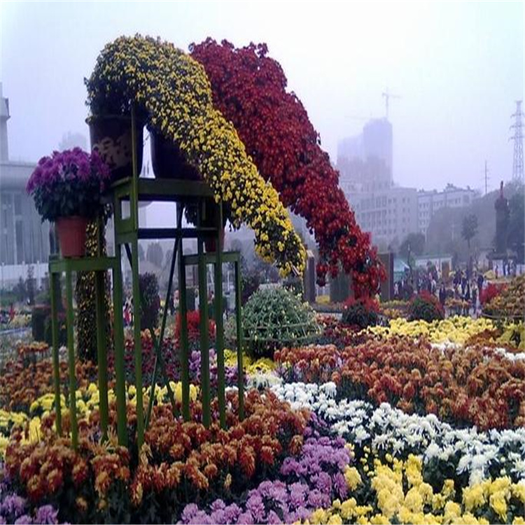五一花卉组摆 组摆摆放设计 花卉组摆施工