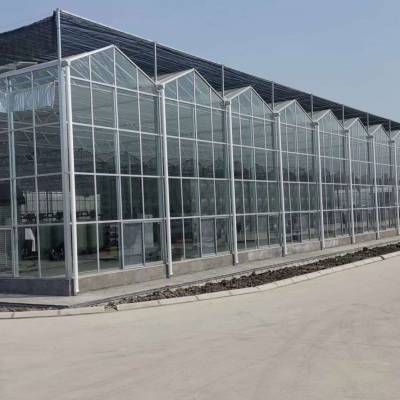 山东温室大棚  阳光板温室大棚造价 