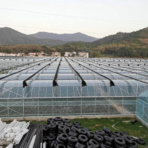 薄膜大棚材料  温室大棚建造 质量保障  采光性好