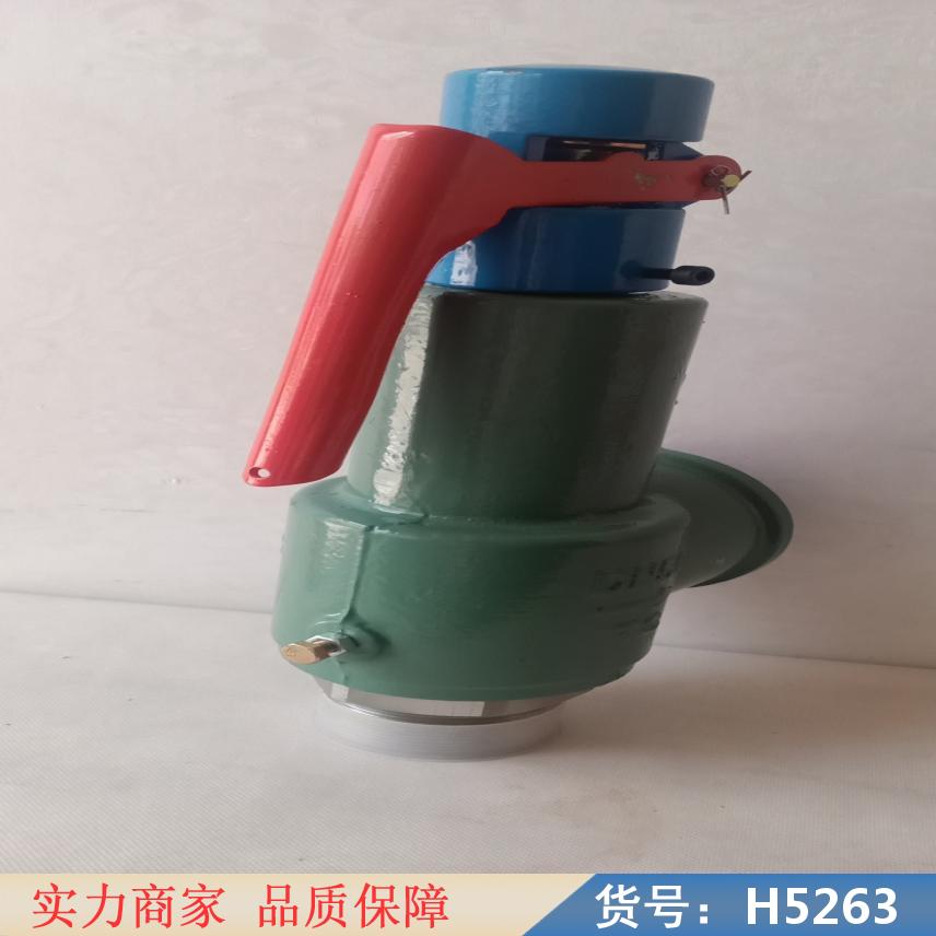 润创高压安全阀 食品安全阀 8H10安全阀货号H5263