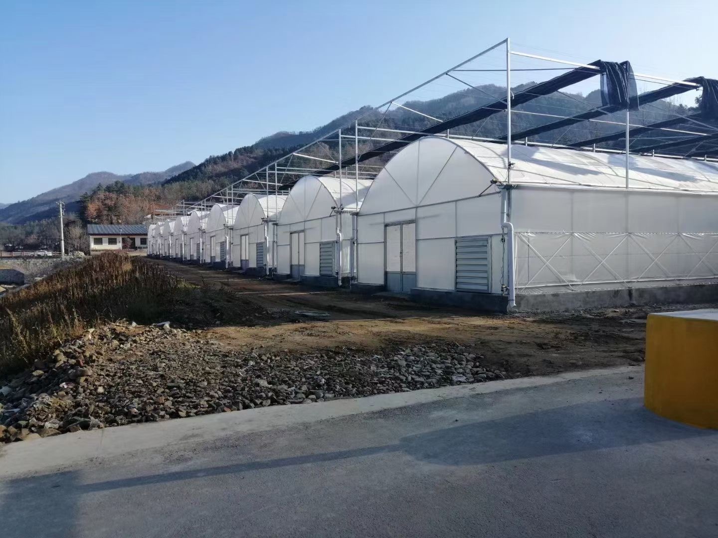 锯齿薄膜温室骨架加工建设厂家 连栋薄膜温室采用进口优质薄膜可保5年