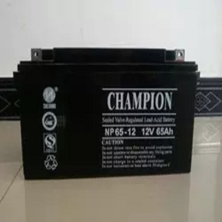 Guan军蓄电池12V65AH NP65-12直流屏UPS应急机房电源 控制系统 储能系统 原装包邮