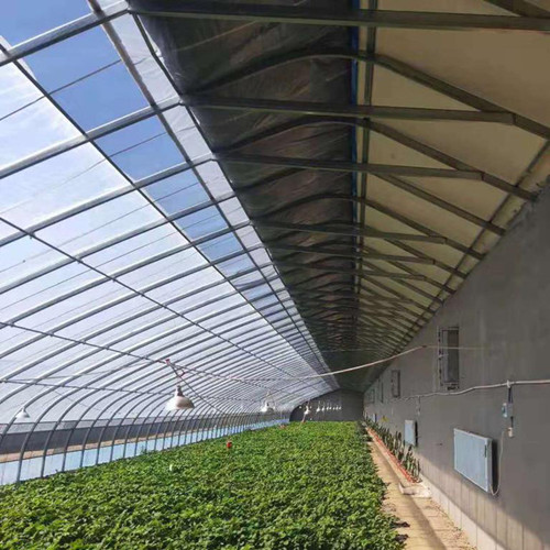 现代农业温室大棚 蔬菜种植