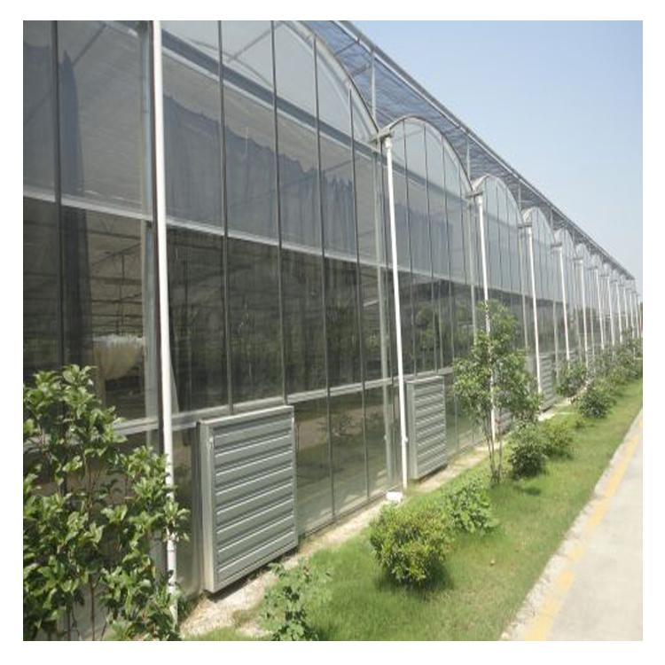 玻璃温室 花卉温室大棚承建商  玻璃温室大棚材料