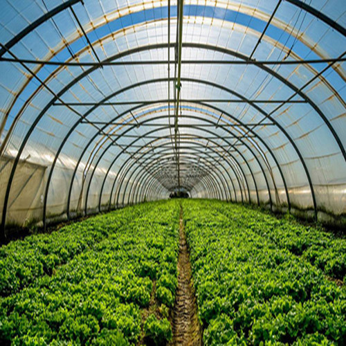 甘肃蔬菜温室大棚 蔬菜大棚材料