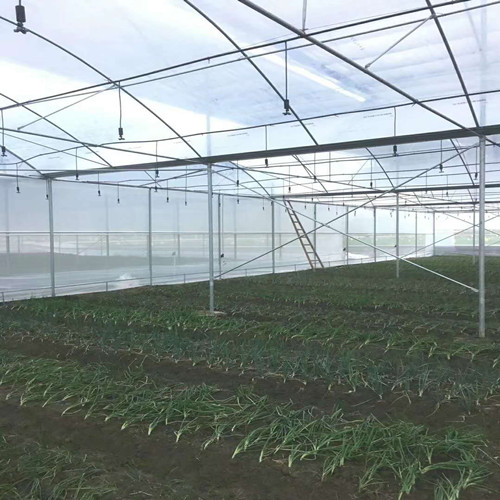 连栋温室 薄膜温室 连栋温室建造
