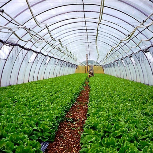 蔬菜温室大棚骨架 智能蔬菜温室