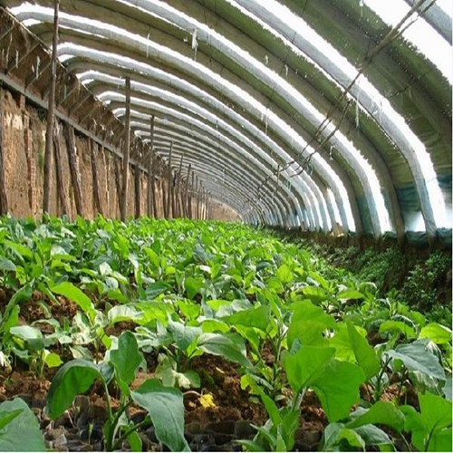 蔬菜温室大棚建造    山东蔬菜大棚    质量保障