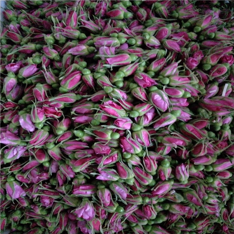 玫瑰花烘干房 玫瑰花热泵烘干房 玫瑰花热风干燥箱