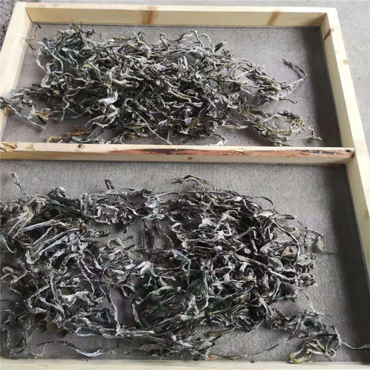 鱼皮烘干机 水产虾米烘干机 虾皮带式干燥机