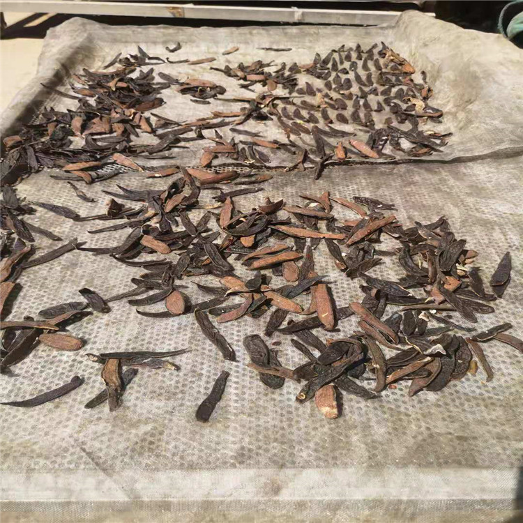 水蛭烘干机 黄粉虫烘干设备 昆虫烘干机