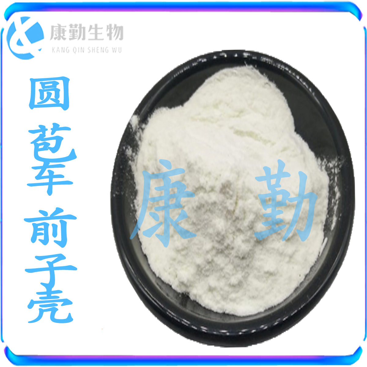 圆苞车前子 壳现货批发 车前子壳粉 可溶性 圆苞车前子壳粉 康勤