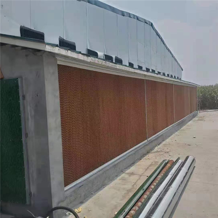 湿帘纸批发 恒善供应湿帘纸 来电咨询