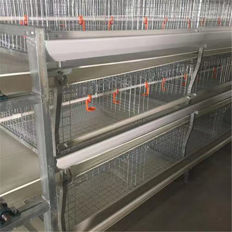 阶梯式鸡笼 笼养系统生产厂家 加工定制