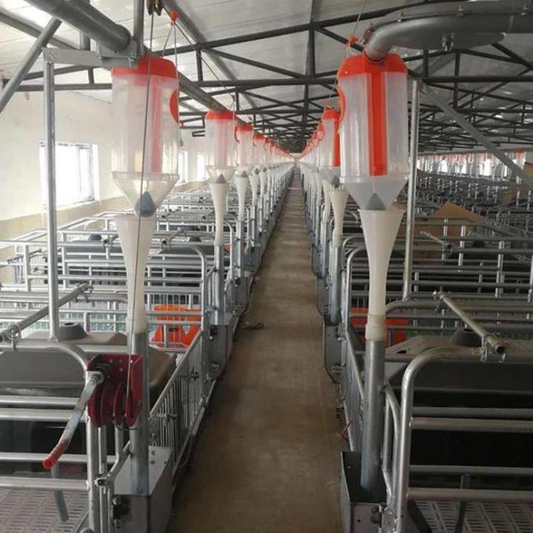 猪用自动喂料设备养殖料线  正茂耐高温耐酸碱猪舍料线
