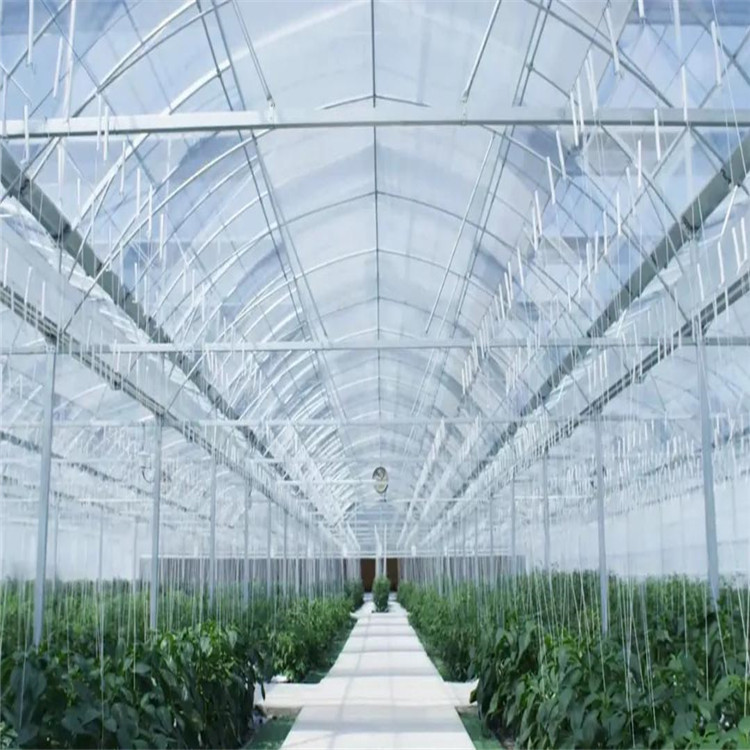 智能薄膜温室公司 薄膜温室大棚 造价低 山东薄膜温室工程