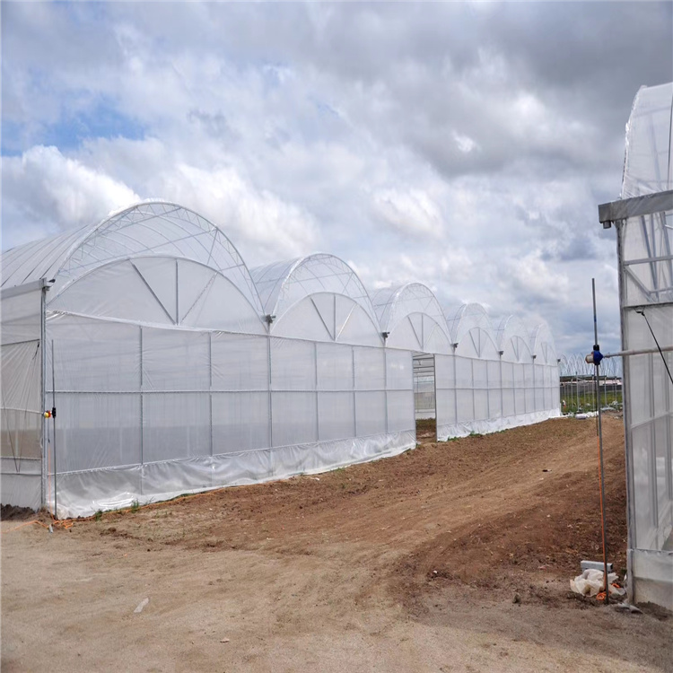 福建薄膜连栋温室 农业塑料大棚 花卉单体大棚骨架农业蔬菜养殖大棚