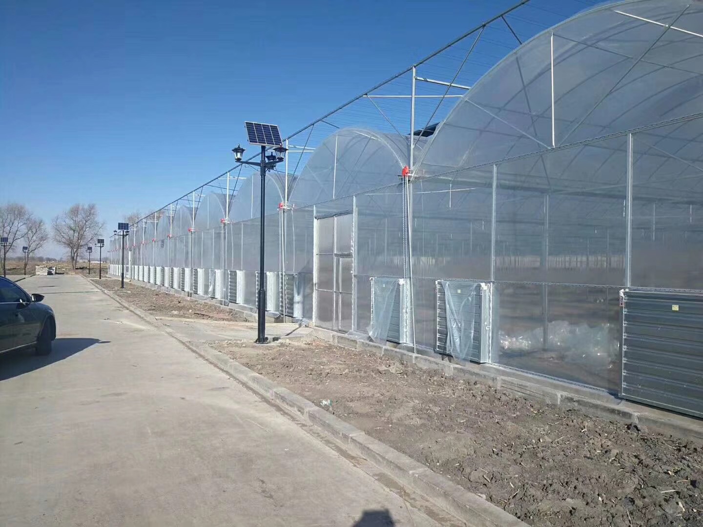 山西大同供应大棚骨架 多肉花卉大棚连栋薄膜温室智能日光农业温室