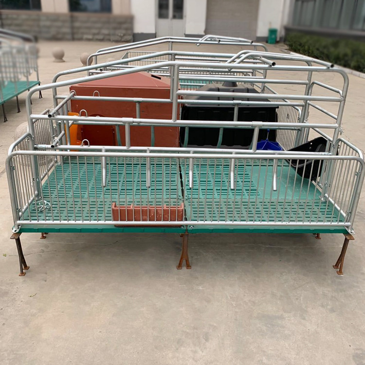 母猪产床 全复合双体产床 猪用产床保育一体养猪设备