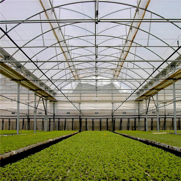 华工  塑料大棚造价  多用于蔬菜花卉种植