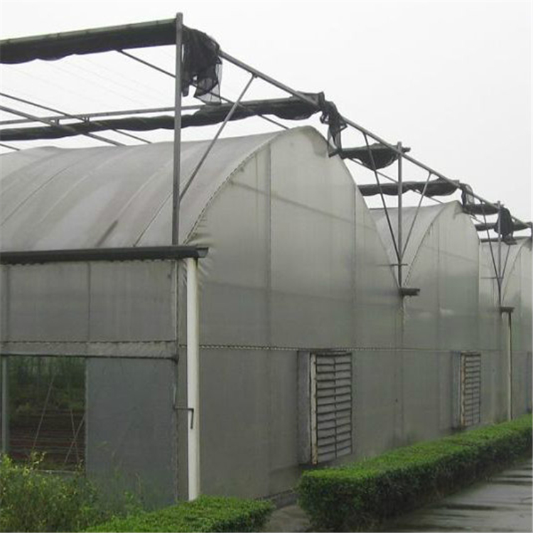华工  简易薄膜温室设计  建造工期快
