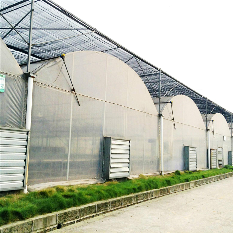 华工  塑料大棚造价  投资少