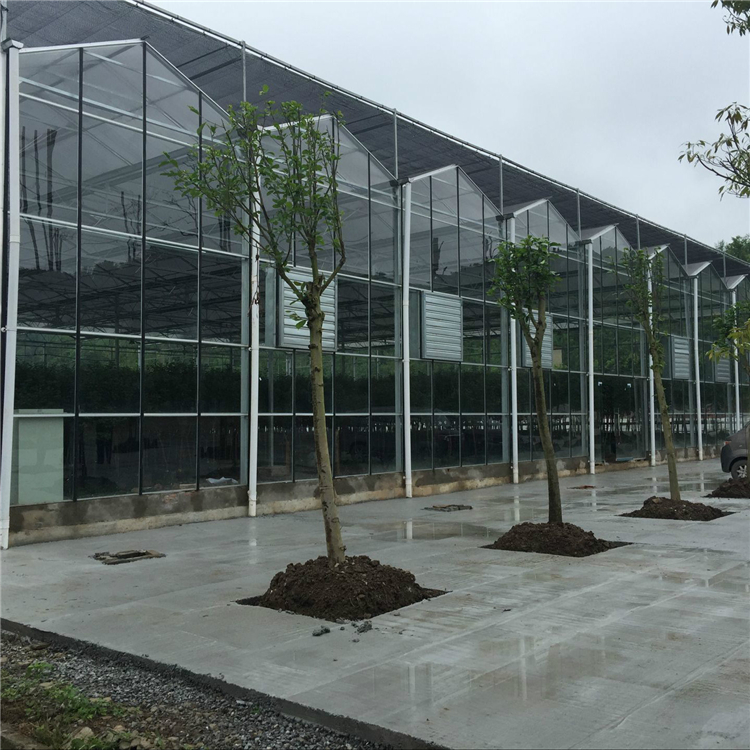 纹络玻璃温室  玻璃温室承建商  专注温室工程建造