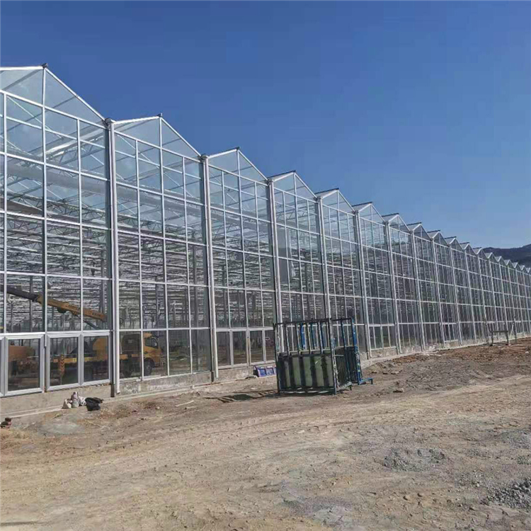 PC板温室  生态餐厅建造  多用于蔬菜花卉种植
