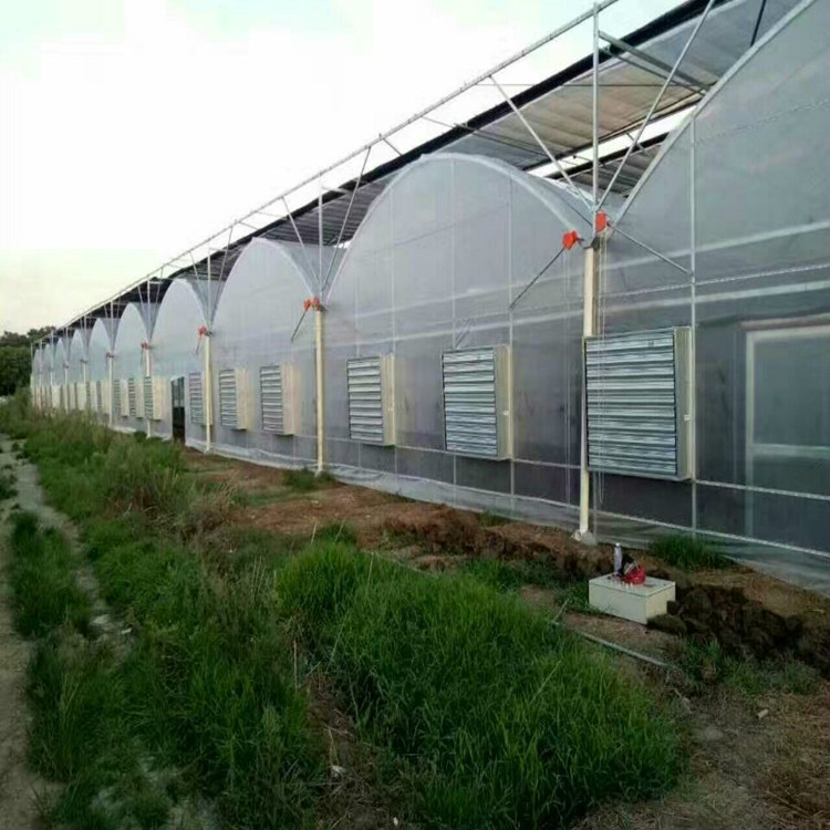 华工  薄膜温室建造  使用方便