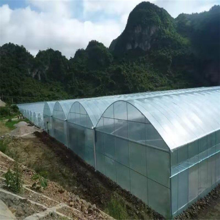 连栋薄膜温室建造 蘑菇薄膜温室种植 承接薄膜温室工程
