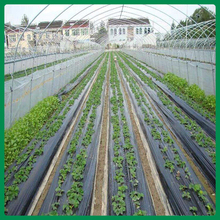 农业地面覆盖用黑白膜 批发黑白膜价格 质量优良