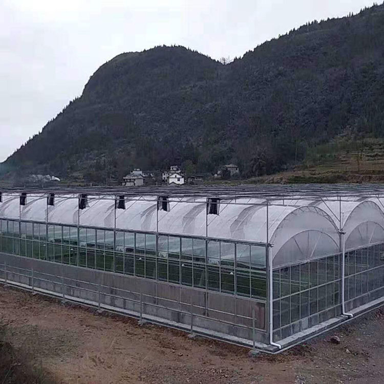 六盘水大棚建设：农业发展的新引擎