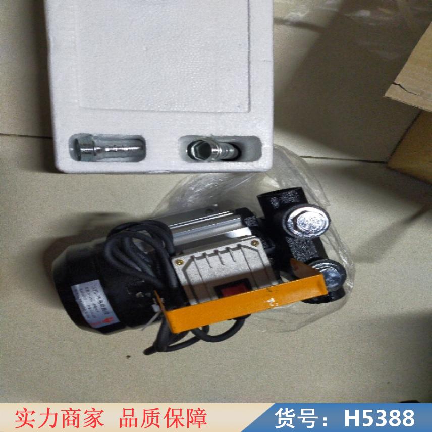 润创电动抽油泵 柱塞抽油泵 自动注油泵货号H5388