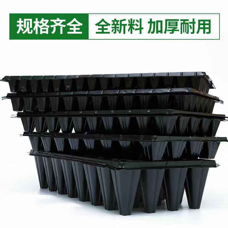 草莓育苗穴盘  秧苗盘 辣椒育苗穴盘