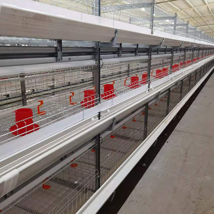 晟迈生产框架式养鸡笼 框架式养鸡笼生产商 量大价优