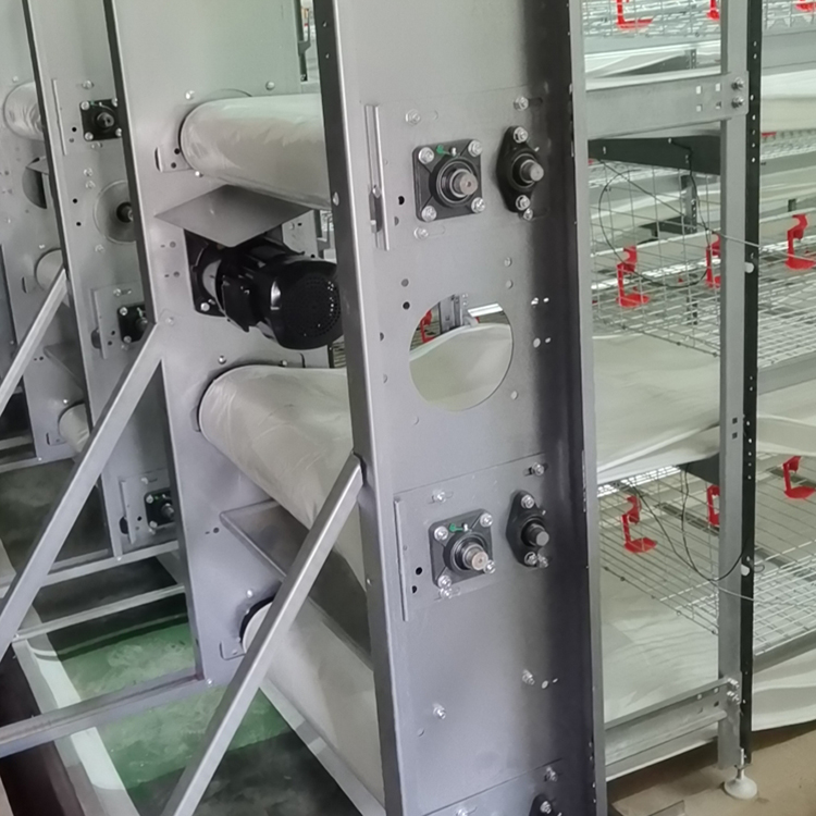 PVC清粪带供应 河南PVC清粪带 省时省力