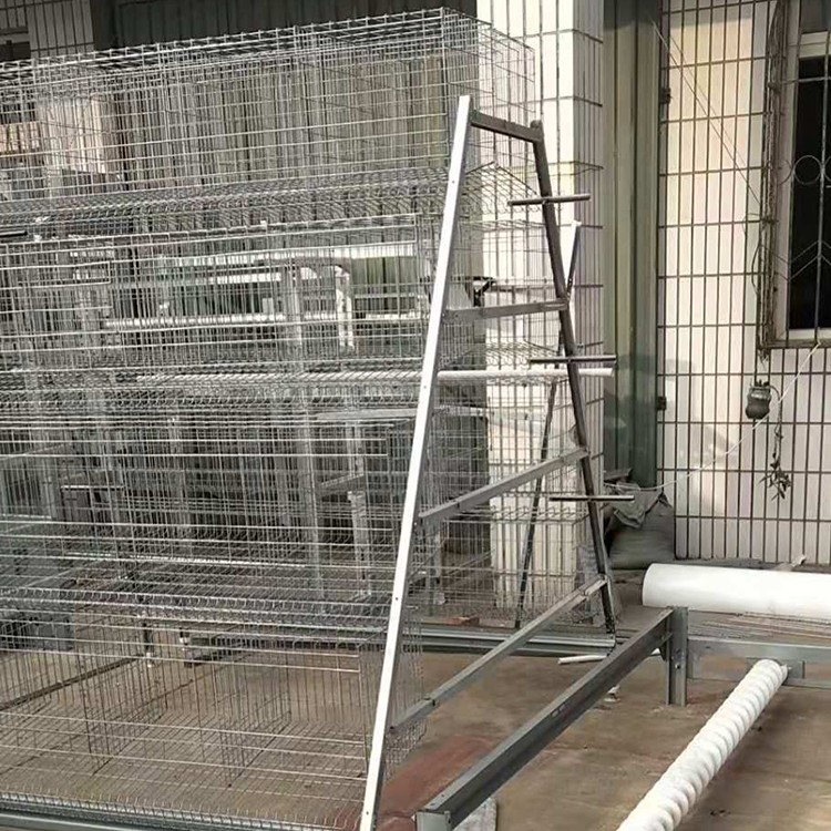 蛋鸡笼框架生产厂家 晟迈出售蛋鸡笼框架 欢迎来电