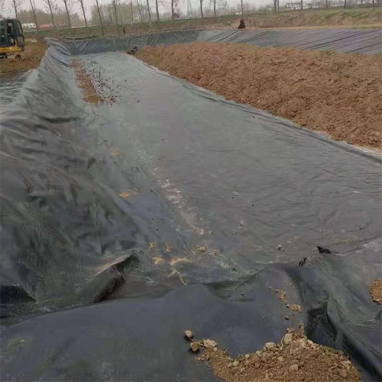 农业养殖猪场沉淀池-吹塑成型法生产1.0mm厚黑膜-广安