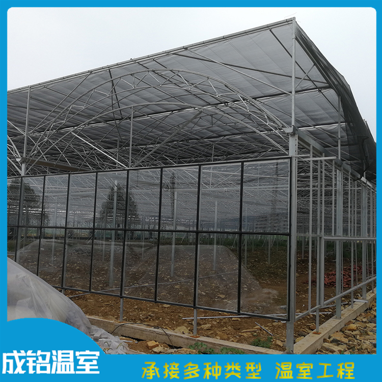 建设速度快 承接温室工程 山东薄膜连栋大棚 承接温室工程