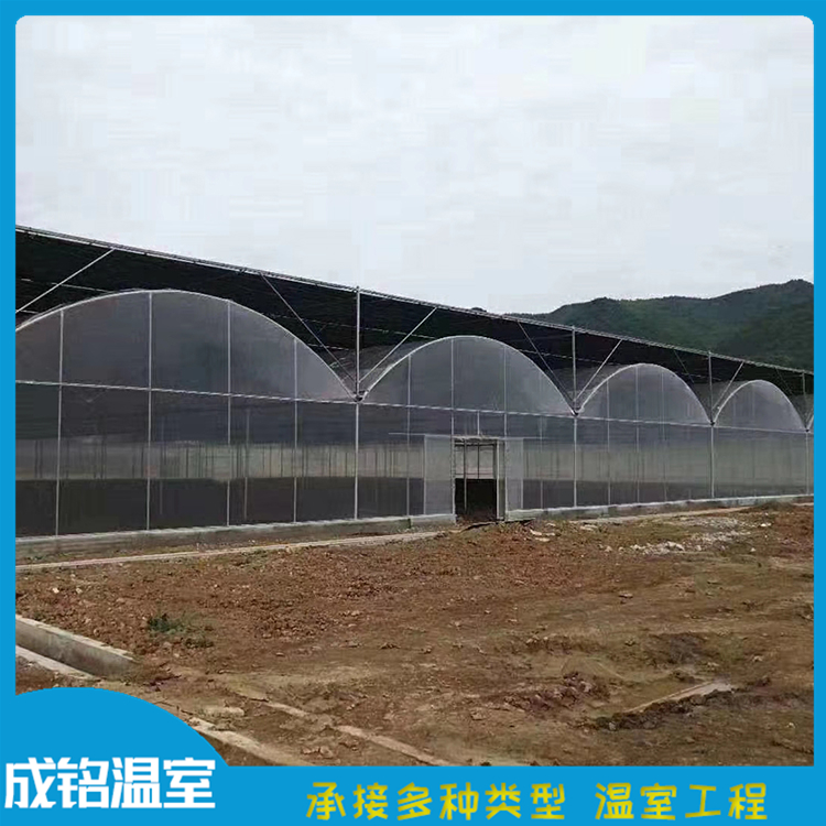 售后服务好 连栋薄膜温室价格 山东薄膜连栋蔬菜大棚 连栋薄膜温室价格