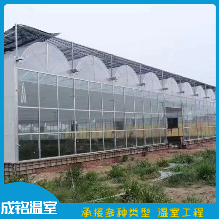 建设速度快 定制连栋薄膜温室 青州蔬菜薄膜大棚 定制连栋薄膜温室