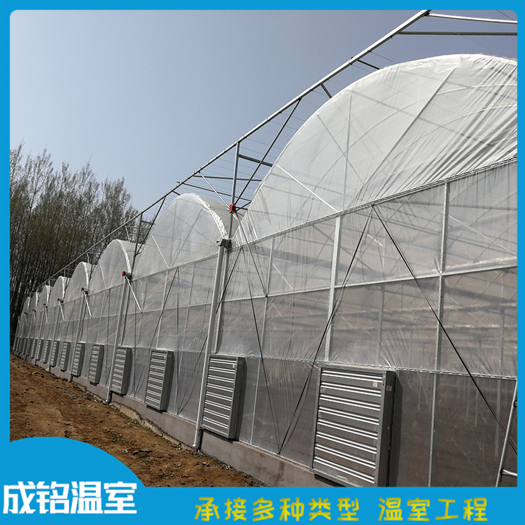 种植大棚 成铭温室工程 青州建设连栋薄膜温室