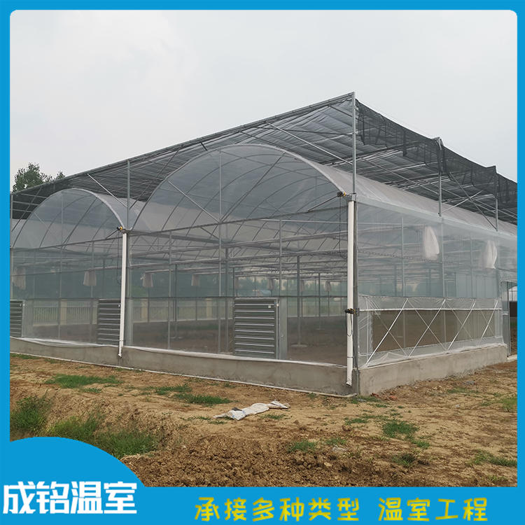 温室大棚 建设速度快 山东定制连栋薄膜温室