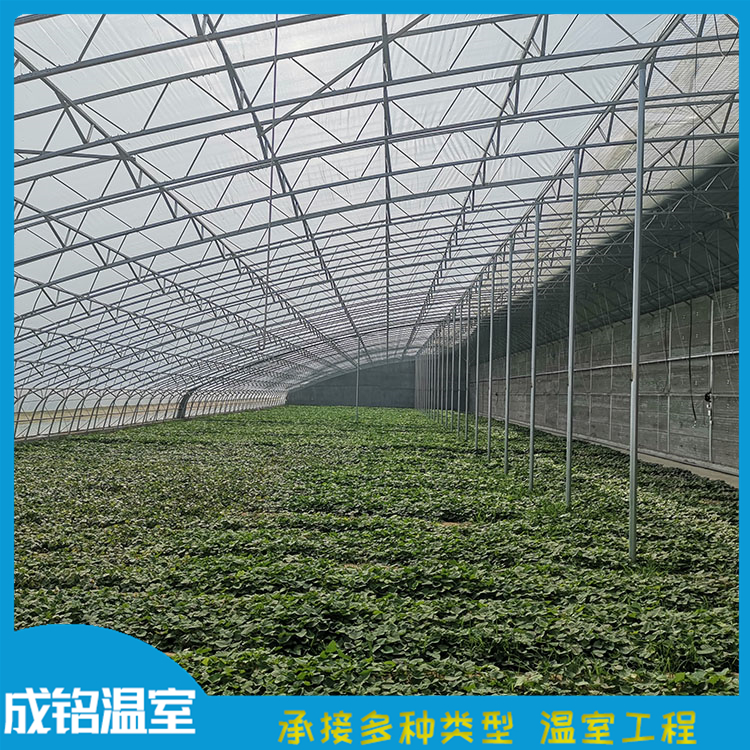 成铭温室工程 建设商连栋薄膜温室 青州薄膜连栋蔬菜大棚 建设商连栋薄膜温室