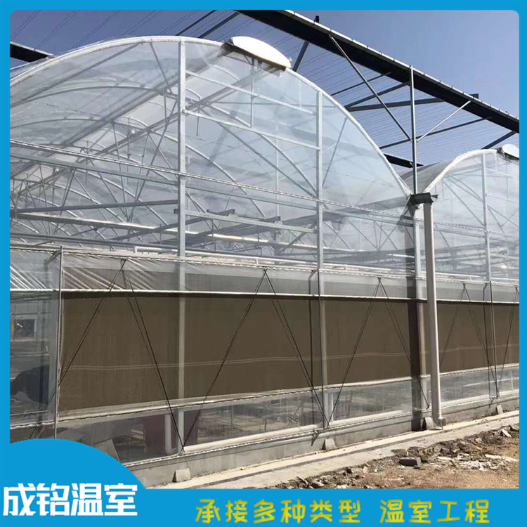 成铭温室工程 连栋薄膜温室设计 青州温室大棚 连栋薄膜温室设计