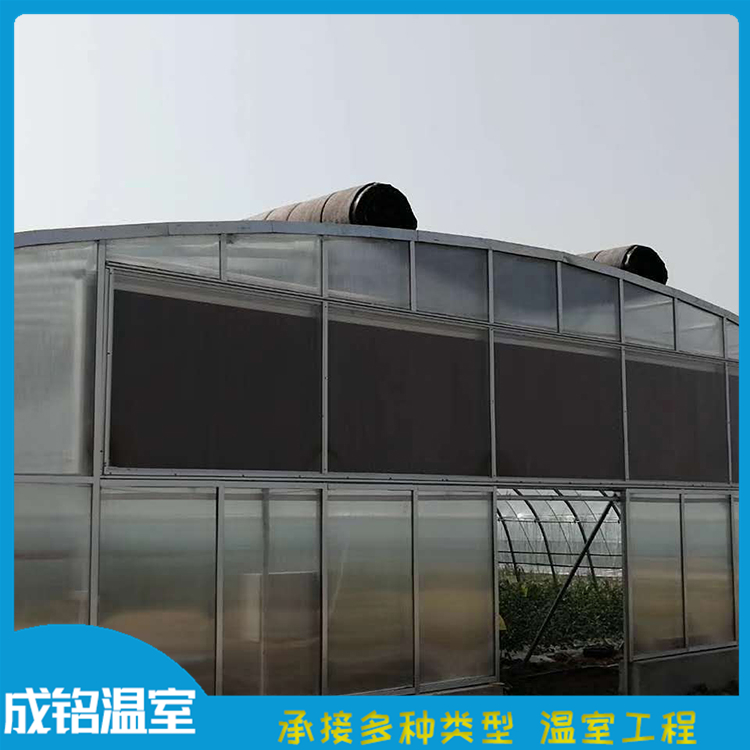 售后服务好 温室工程建设 青州薄膜连栋温室 温室工程建设