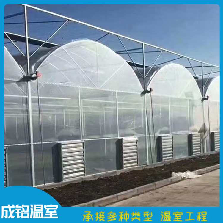 薄膜连栋温室 口碑好 山东承建连栋薄膜温室